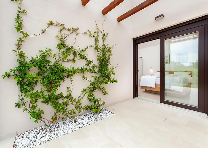 וילה Echo Villa, Istra, Pool/jacuzzi, Bbq, Pet Friendly Segotici