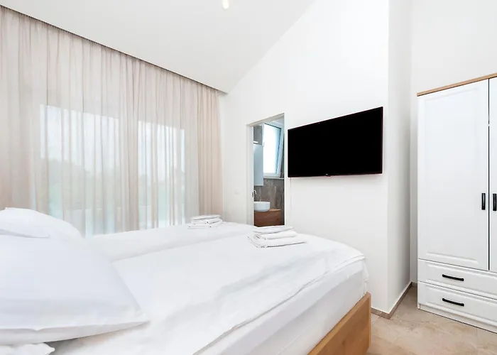 Echo Villa, Istra, Pool/jacuzzi, Bbq, Pet Friendly וילה Segotici
