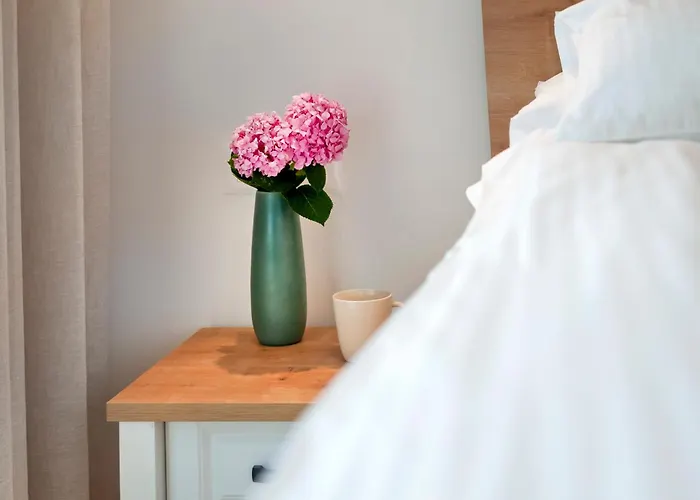 Echo Villa, Istra, Pool/jacuzzi, Bbq, Pet Friendly Segotici