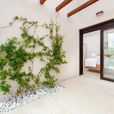 别墅 Echo Villa, Istra, Pool/jacuzzi, Bbq, Pet Friendly Segotici